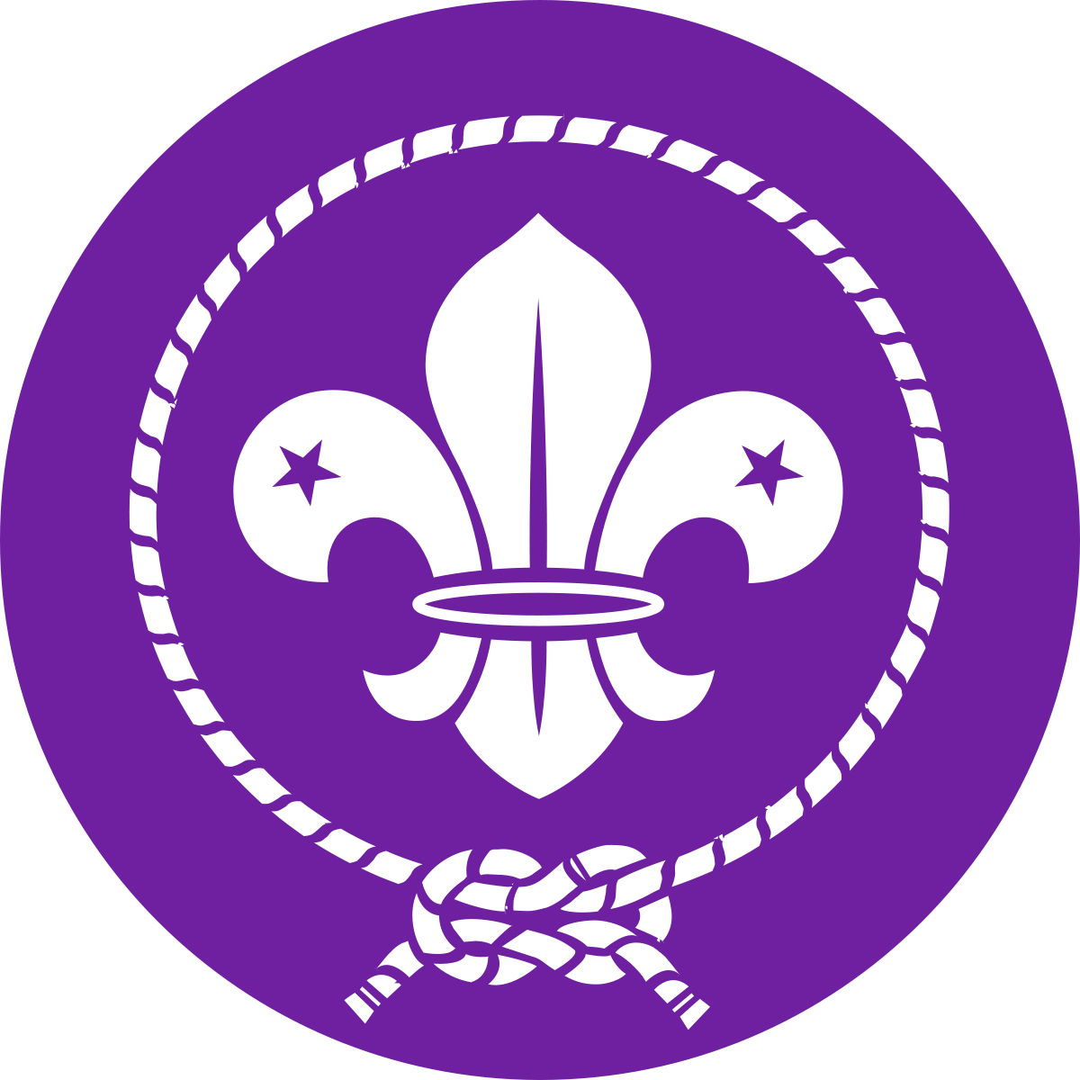 World Scouts